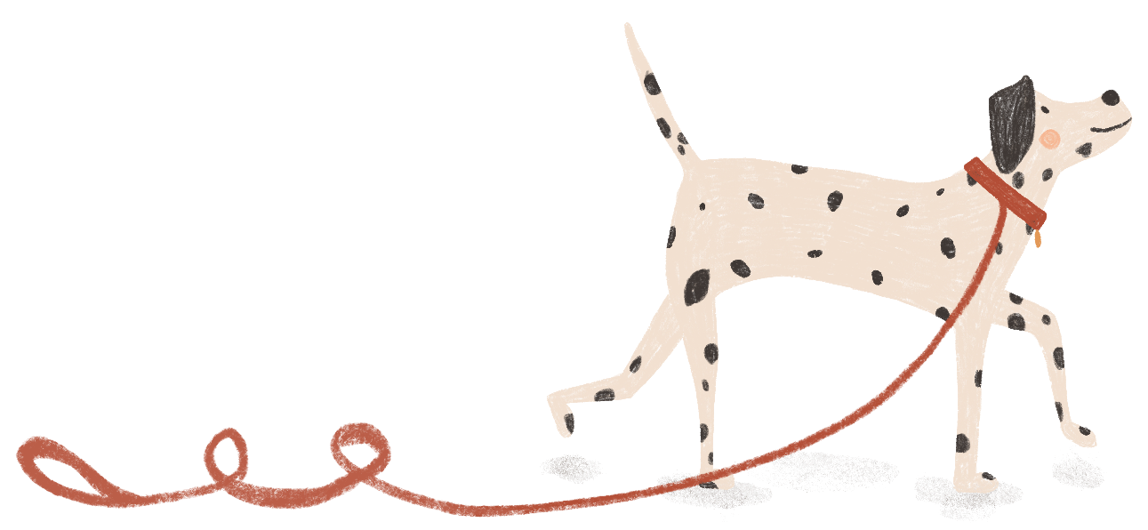 dog working 1 2
