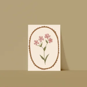 Home campion flower1